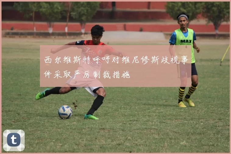 西尔维斯特呼吁对维尼修斯歧视事件采取严厉制裁措施